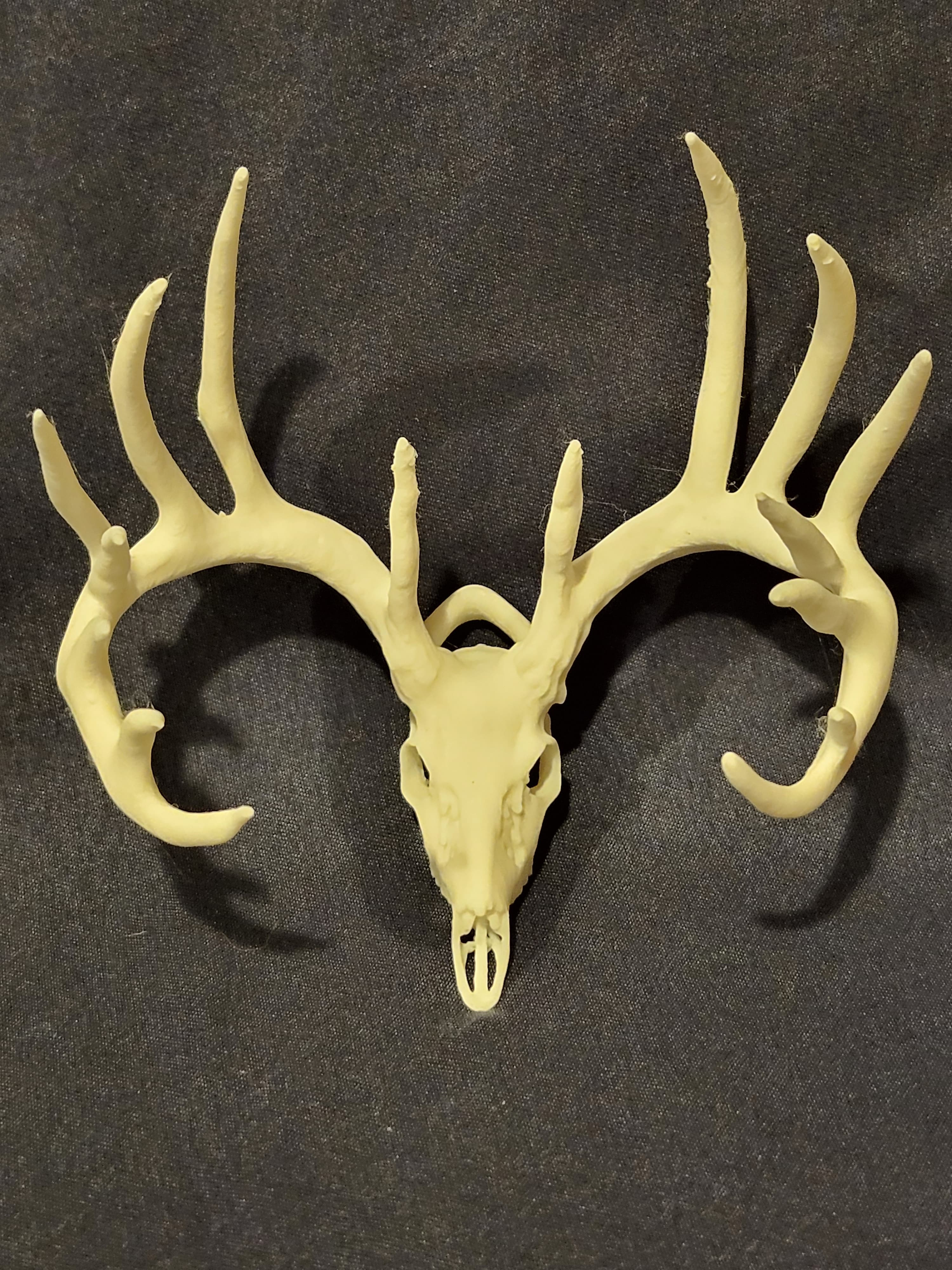 Deer Skull Keychains